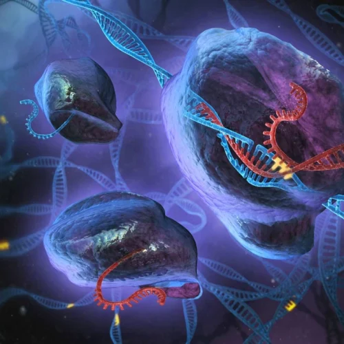 El-editor-genetico-CRISPR-explicado-para-principiantes CRISPR y edición genética del ser humano