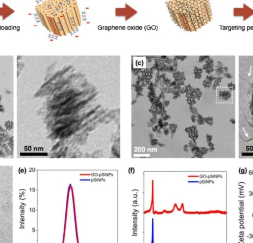 siARN-grafeno1-900x480 Análisis: Nanopartículas de grafeno orientadas a la entrega de siARN en el cerebro